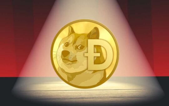 Shiba Inu and 5 Others You Must Know About