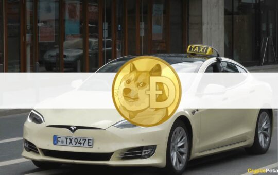 Elon Musk Inspired a German Tesla Taxi Company to Enable Dogecoin Payments