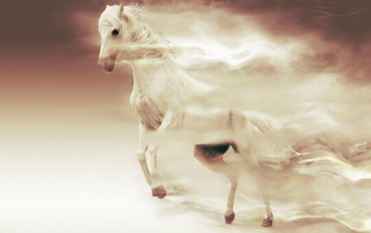 Ethereum Classic, Etherzero & Metropolis