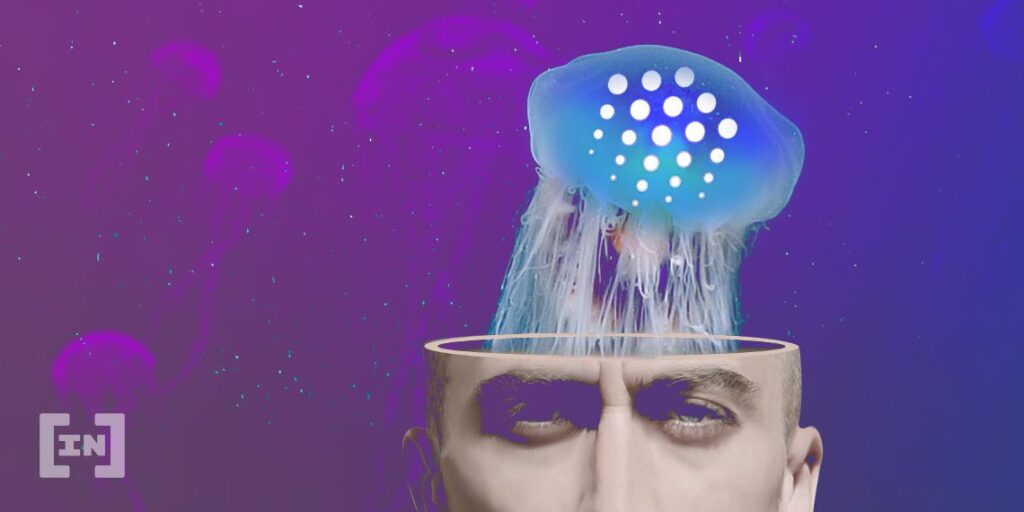 OCEAN Price Moons After Binance Listing