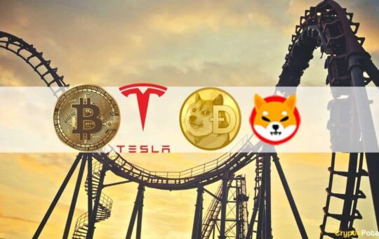 Shiba Inu (SHIB) Mania, Dogecoin, Tesla's Bitcoin Halt and Crypto Market Volatility: The Weekly Recap