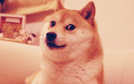 Shiba Inu (SHIB) Rises 17% After Elon Musk Dog Tweet