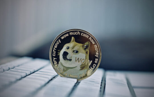 Where to Buy Dogecoin as DOGE price posts massive gain