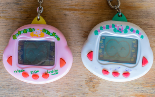 Where to buy Binapet as BPET shoots to a new all-time high