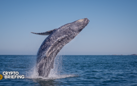 Bitcoin Breaks $50,000 as Institutions Accumulate