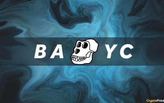 The Current Bid for 107 Bored Yacht Apes NFTs Minted for 0.08 ETH Each