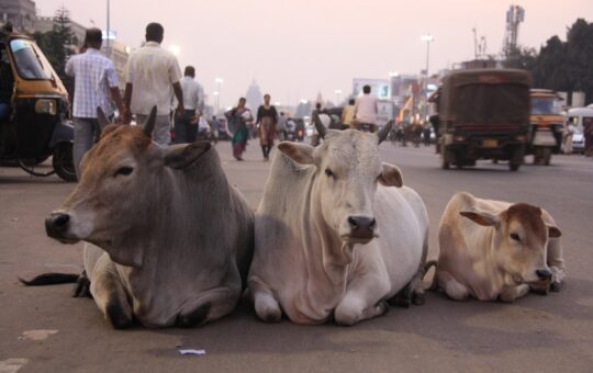 New Delhi Ready to Back Down on Crypto Regulation, Claims Anonymous Gov’t Source