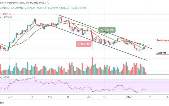 Bitcoin Price Prediction