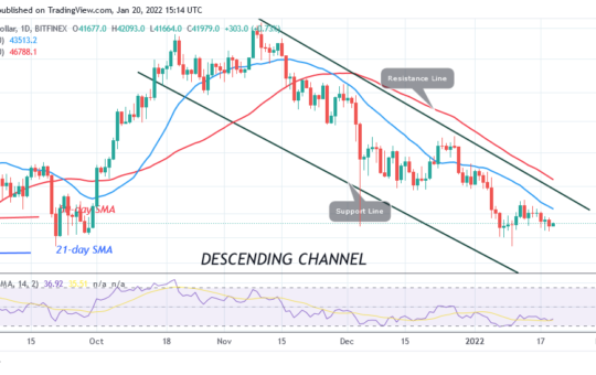 Bitcoin (BTC) Price Prediction: BTC/USD Struggles above $41.72k as Bitcoin Risks $39.6k Low