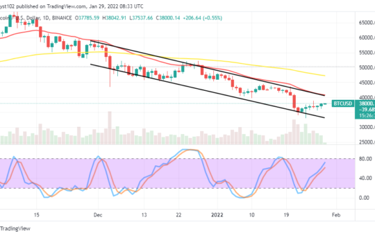 Bitcoin (BTC/USD) Market Rallies, Averaging $40,000