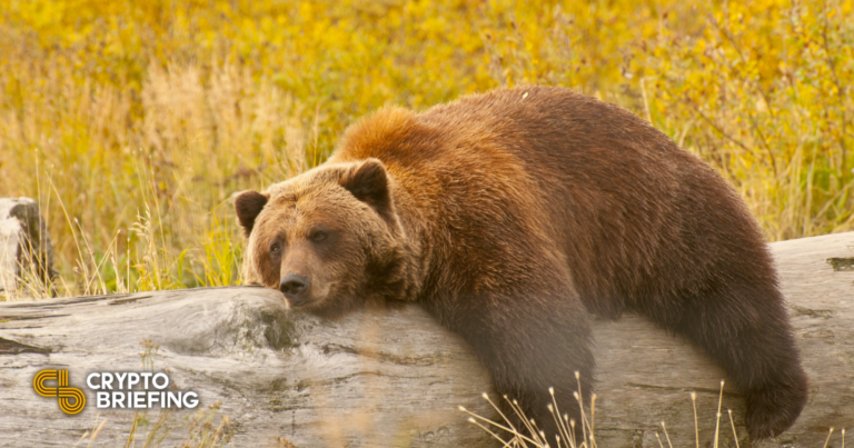 Crypto Suffers Another Hit Amid Market Uncertainty