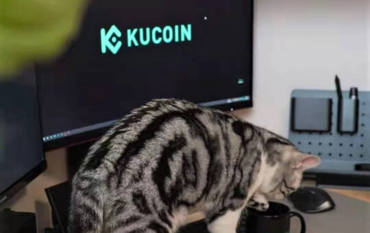 KuCoin Expands Euro Operations By Integrating SEPA Support