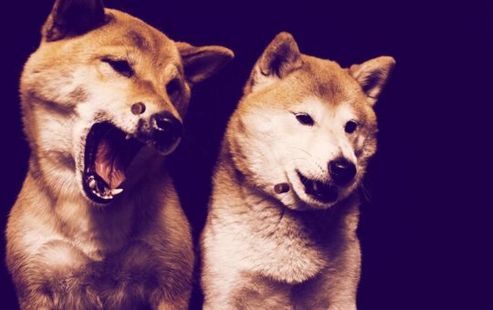 Meme Coins Dogecoin, Shiba Inu Mount Double-Digit Recovery Amid Crypto Rebound