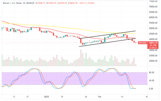Bitcoin (BTC/USD) Market Swings Lower in $40,000 and $35,000
