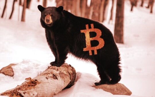 Bitcoin Options Traders Turn Bearish: Report