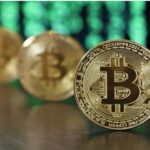 Non-Zero Bitcoin Addresses at ATH, Bitcoin Wholecoiners at 10-Month Peak