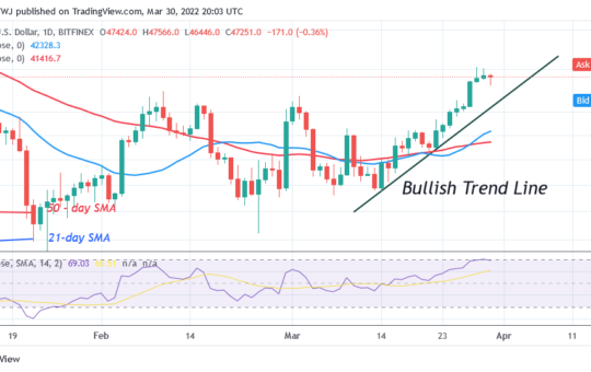 Bitcoin (BTC) Price Prediction: BTC/USD Is Set To Reclaim $50K High as Bitcoin Battles $48K Resistance