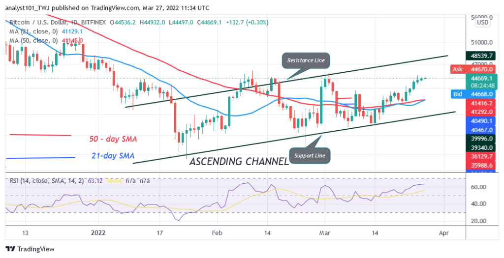 Bitcoin (BTC) Price Prediction: BTC/USD Consolidates Below $45K as Bitcoin Prepares for Breakout