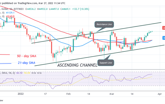 Bitcoin (BTC) Price Prediction: BTC/USD Consolidates Below $45K as Bitcoin Prepares for Breakout