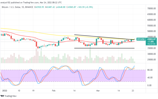 Bitcoin (BTC/USD) Price Holds Around $42,500