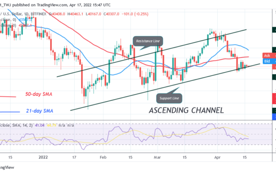 Bitcoin Price Prediction for Today April 17: Bulls and Bears Reach Indecision as Bitcoin Remains Above $40K