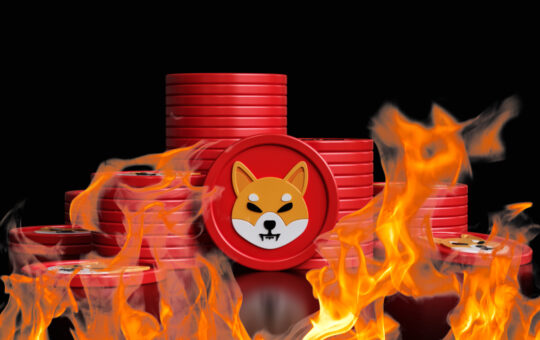 Shiba Inu's New Burn Portal Rewards SHIB Burners for Destroying Their Tokens