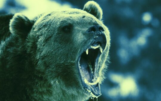 Bear Markets Are for Building the Metaverse
