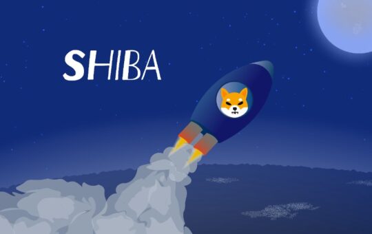 Shiba Inu’s 30% surge causes a social media sensation