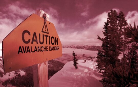 This Week on Crypto Twitter: Avalanche Exposed by Self-Proclaimed Crypto Whistleblower, Ted Cruz Visits Crypto Mine