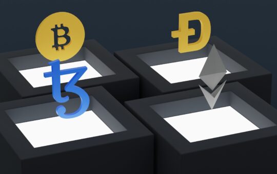 What Are They & How Do They Work?