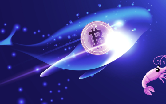 This Week on Crypto Twitter: Sam Bankman-Fried Won't Stop Talking, Coinbase Challenges Apple