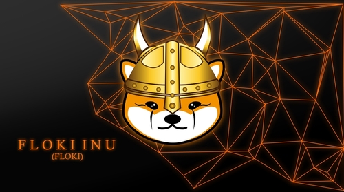 Floki announces partnership with Binance Pay
