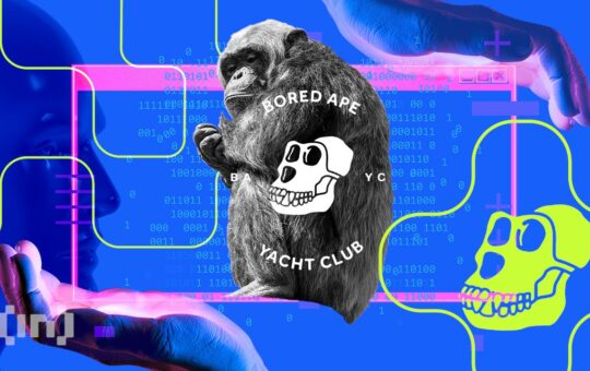 Why Jimmy Fallon Has Picked a Fight With the Bored Apes