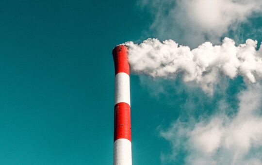 What's the Environmental Impact of Generative AI Tools?