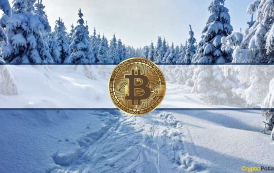 Analysts Predict Bitcoin Cooldown Phase as BTC Slid Below $30K