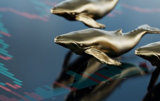 ‘Fifth Richest’ Bitcoin Whale Just Moved $6 Billion in BTC