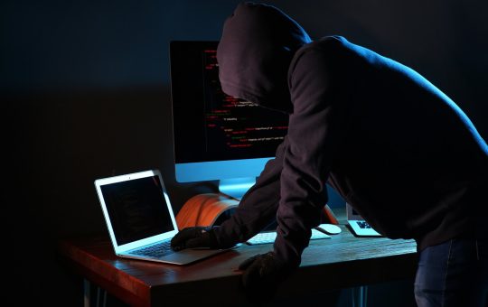 Bitbot gains as Ape Terminal cancels ZKasino IDO