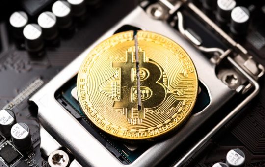 This Week on Crypto Twitter: Bitcoin Halving Anticipation to Elation—Then Back to Work