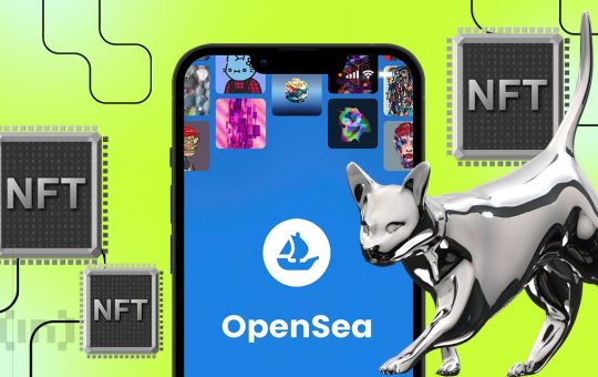 Are NFTs Dead? OpenSea CEO Weighs In