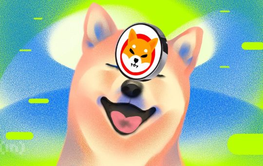 Shiba Inu Can Now Be Used to Buy Nike, PS5, and Book Airbnb