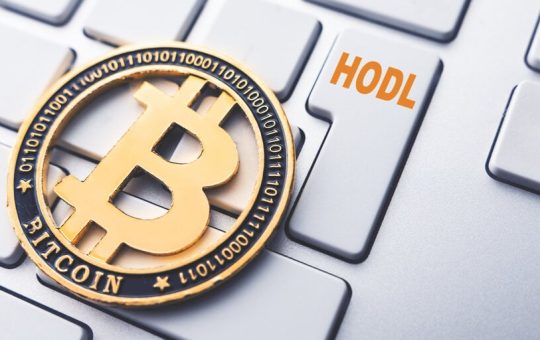 Long-Term Bitcoin Investors Have Returned To HODLing: Report