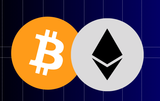 Weekly Report