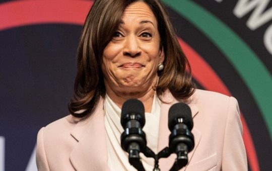 Could Kamala Harris Be Better for Bitcoin Than Trump? VanEck Thinks So
