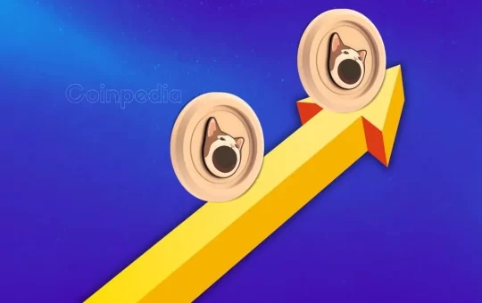 first-banner-ad
