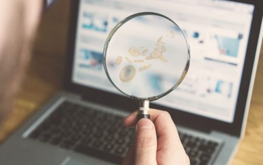 Altcoin Google searches spike to 2021 all-time highs