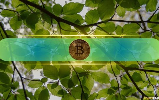 After a Historic January, What’s in Store for Bitcoin in February?