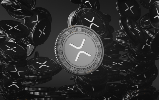 XRP Ledger Temporarily Halts Block Production, Ripple CTO Cites Possible Network 'Drift'
