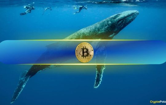 Bitcoin to $121K Next Week? Mega Whale Wynn Bet $1.25B on It