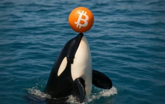 Galaxy Digital moves $447M in Bitcoin to exchanges, sparking sell-off speculation