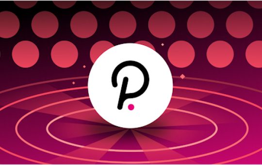Polkadot Unveils Bold Vision for Proof-of-Personhood Identity System